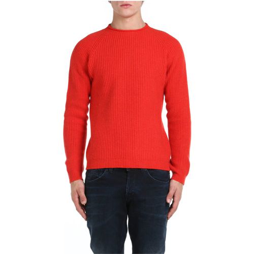 Sweater , Herren, Größe: L - Daniele Fiesoli - Modalova